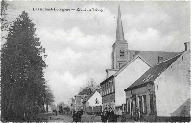 Brasschaet__.jpg